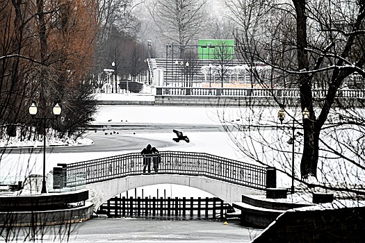 Строительство 11 транспортных объектов проведут в Новой Москве 