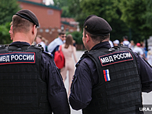 МВД РФ объявило в розыск бывших украинских политиков Пашинского и Дещицу