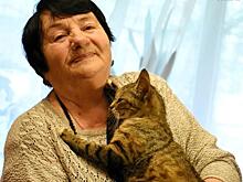 Следователь Настенко