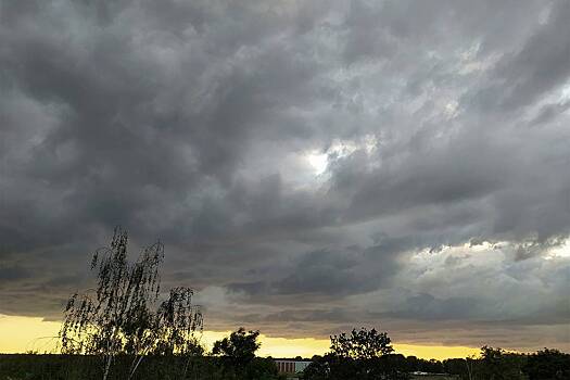 Власти российского региона задумали вызвать дождь