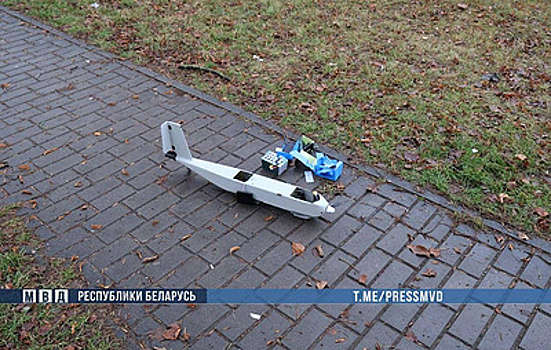 В Белоруссии сообщили об экстремистских материалах в упавшем литовском БПЛА