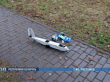 В Белоруссии сообщили об экстремистских материалах в упавшем литовском БПЛА