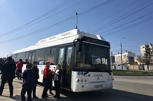 Полоса для общественного транспорта откроется в Краснодаре 30 июля