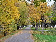 На Москву надвигается похолодание