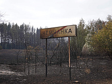 Правительство Самарской области окажет погорельцам Борского района материальную помощь