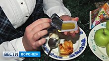 В школах Воронежской области детей спасают от гриппа народными средствами