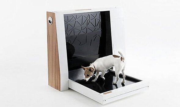 Компания Newtons Box представляет автоматический домашний туалет для собак