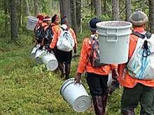 Власти Карелии оказывают содействие в трудоустройстве молодым специалистам