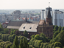 "Хомо океаникус" и песни Газманова: французский учёный защитил диссертацию о Калининграде и его жителях