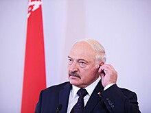 "Паразит, нахлебник и шантажист": депутат ГД о Лукашенко