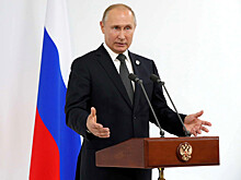 Путину доложили о деле против "Рольф" и экс-депутата Петрова, но не о том, что появились сомнения в законности возбуждения дела