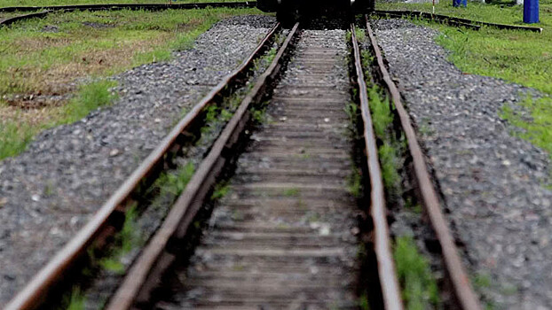 Вагоны грузового поезда сошли с рельсов под Ростовом