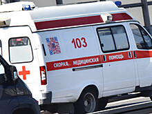 Четыре человека погибли в ДТП под Петербургом