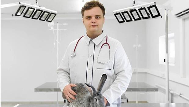 В Ростовском университете откроют первую в стране интернатуру для ветеринарных врачей