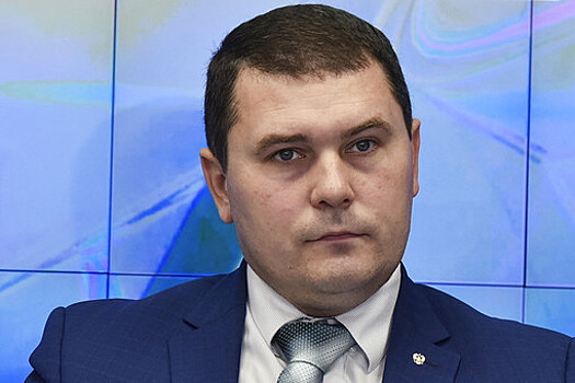 Зампред ОП Крыма Чегринец назвал ахинеей слова Зеленского о статусе полуострова