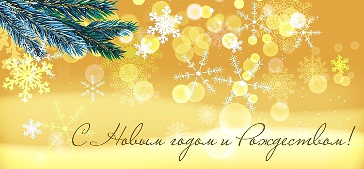 Поздравление префекта САО города Москвы Владимира Степанова с Новым годом и Рождеством