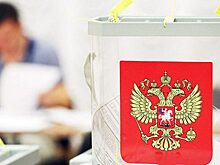 Подведены предварительные итоги выборов в Думу города Иркутска