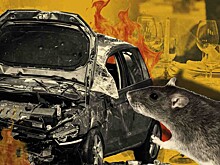 Нарушения и регулярные судебные иски: что скрывает бизнес владельца взорванной машины в Москве