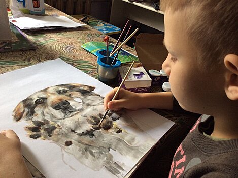 Девятилетний арзамасский мальчик меняет рисунки на корм для бездомных животных