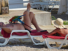 Минтранс прокомментировал возможную приостановку чартеров в Турцию