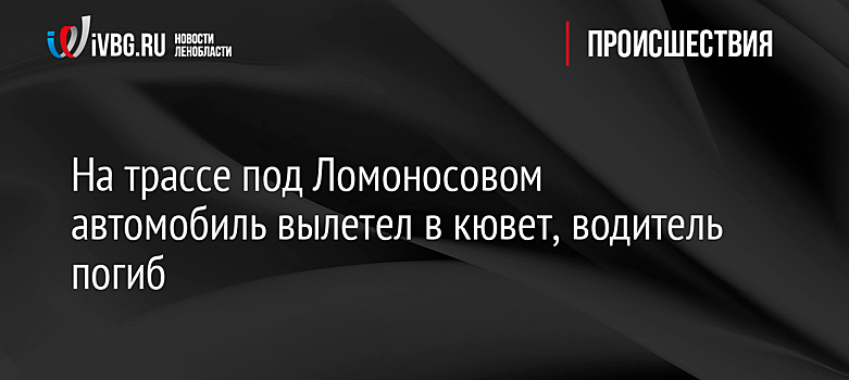 На трассе под Ломоносовом автомобиль вылетел в кювет, водитель погиб