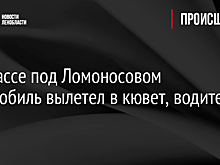 На трассе под Ломоносовом автомобиль вылетел в кювет, водитель погиб