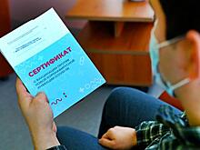 Володин объяснил министру МВД, как с «короной» бороться надо