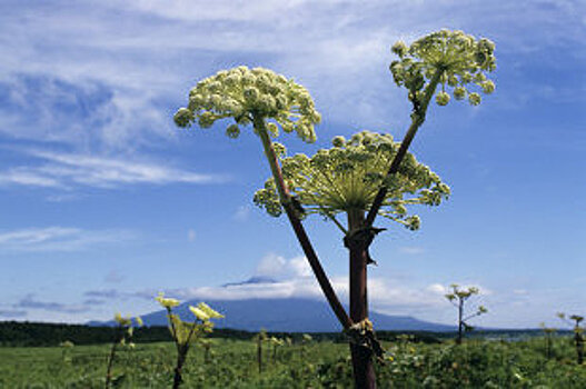 Москвичам больше не придется платить за замену и поверку электросчетчиков