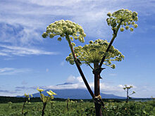 Москвичам больше не придется платить за замену и поверку электросчетчиков
