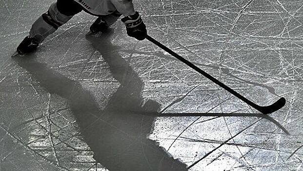 Российские хоккеисты устроили массовую драку