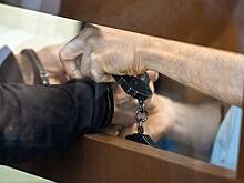 Поджигавший покрышки в Санкт-Петербурге получил срок в колонии