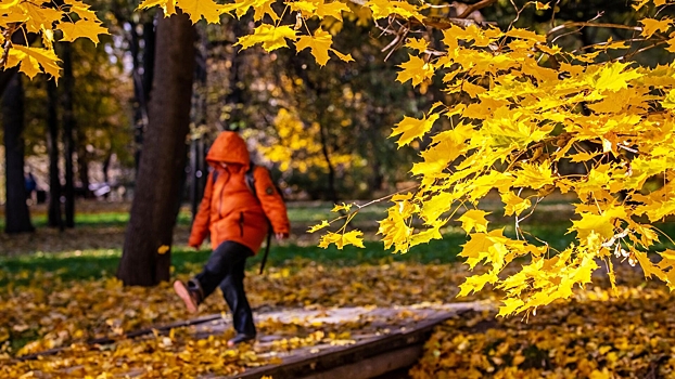 Назван срок окончания теплой погоды в Москве
