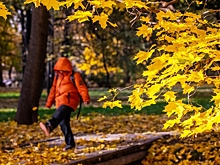 Назван срок окончания теплой погоды в Москве