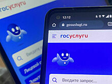 Законопроект о выборе исполнителей по соцзаказу на «Госуслугах» прошел I чтение