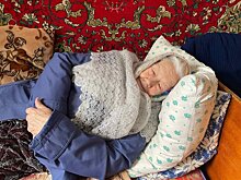 Соколов прищучил управляющую компанию, ответственную за регулировку отопления в доме замерзавшего ветерана Великой Отечественной