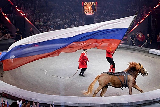 Артисты из 15 стран соберутся в Москве вокруг "Идола"