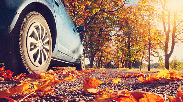 Как безопасно управлять автомобилем в ноябре?