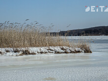 «Не послушались губернатора»: ликвидацию экологов в Приморье связывают с политикой и финансовыми интересами