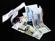 «Финансисты ЦБ представляют экономику страны в виде боксерской груши»: депутат Госдумы жестко прошелся по политике Центробанка