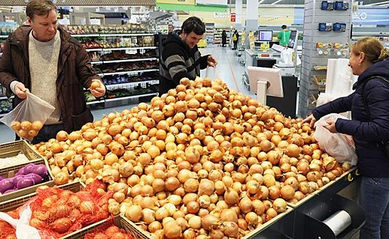 Репчатый лук схарчили заморозки и чиновники