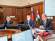 Древесину в Новосибирской области поставили на учет и контроль