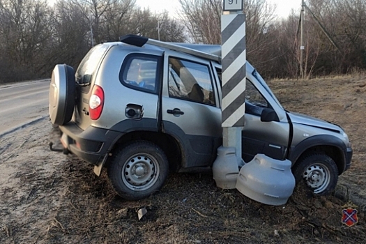 В Волгоградской области водитель погиб в ДТП, врезавшись в столб