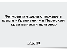 Фигурантам дела о пожаре в шахте «Уралкалия» в Пермском крае вынесли приговор