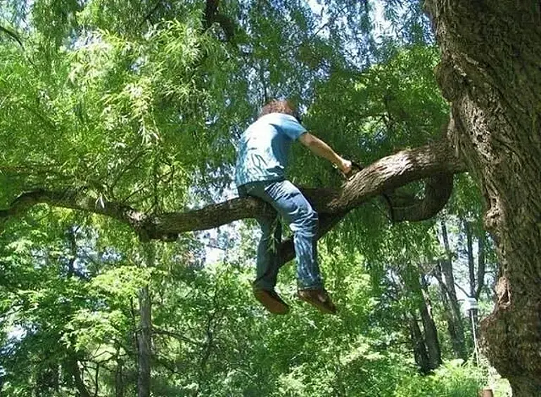 Некоторые глупости можно назвать классическими, взятыми прямо из народного фольклора.