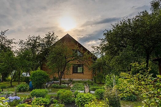 Дача в Подмосковье: что можно купить за сумму от 400 тысяч до 2 млн рублей?