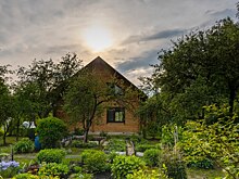 Дача в Подмосковье: что можно купить за сумму от 400 тысяч до 2 млн рублей?