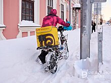 Автоэксперт Попов предложил разработать профстандарт для курьеров в России