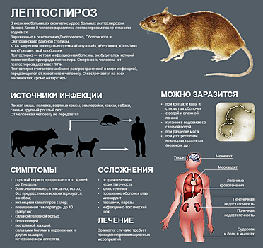 Вероятность заражения инфекционными заболеваниями в летний период