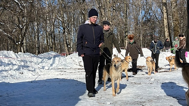 В Вологде состоялась выставка охотничьих собак