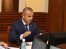 В Заксобрании одобрили региональные штрафы для владельцев собак и кошек